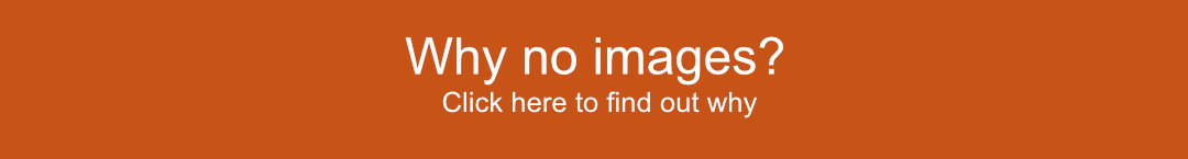 Why there are no images on this website